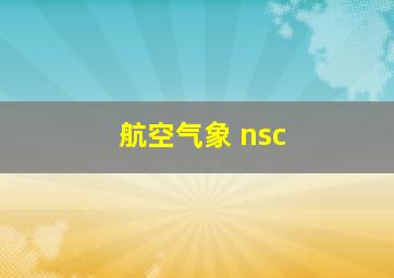 航空气象 nsc